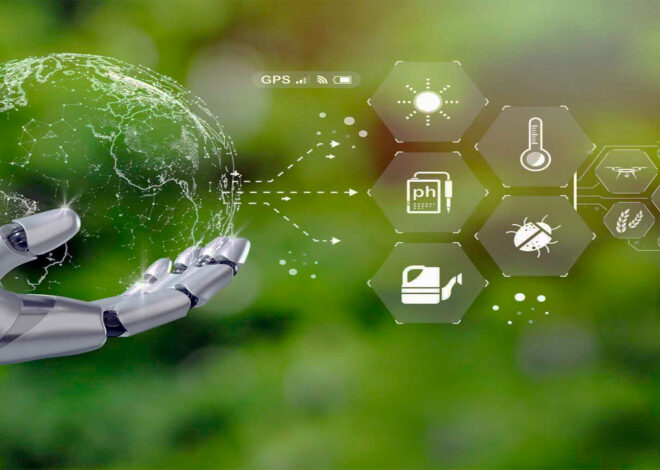 The Role of AI in Environmental Conservation