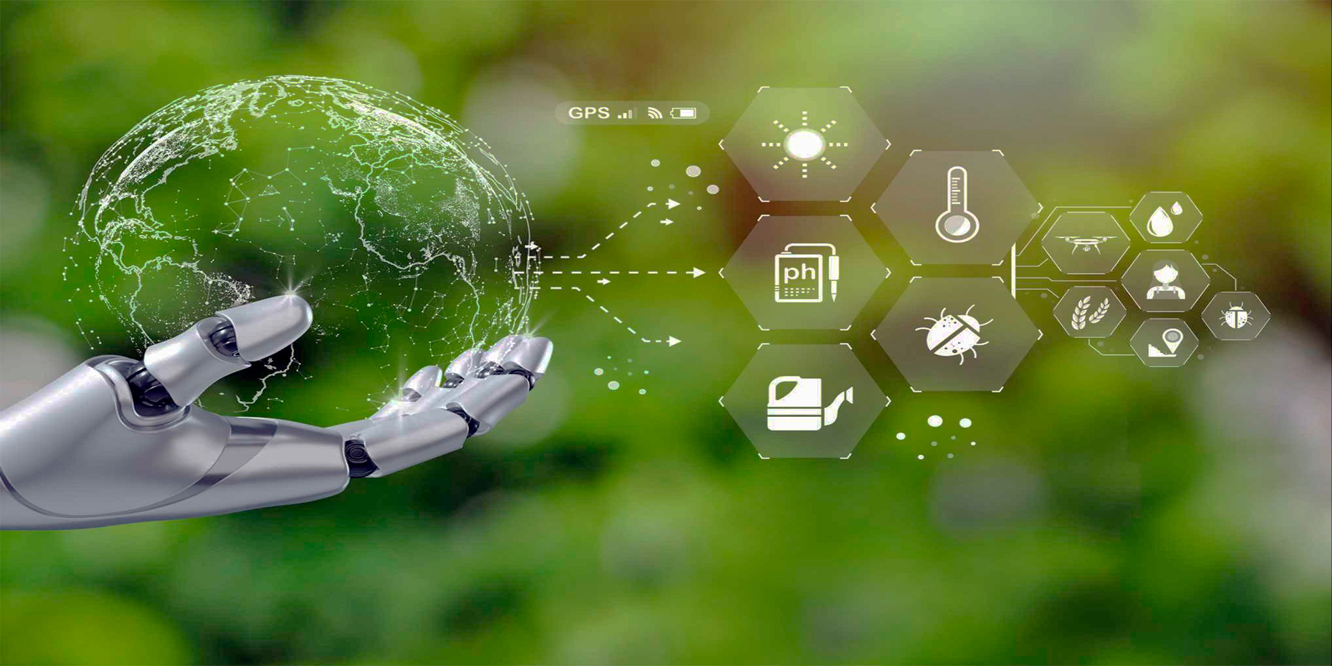 The Role of AI in Environmental Conservation