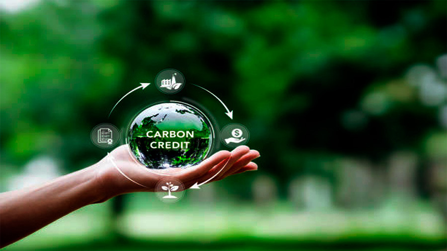 Carbon Credits