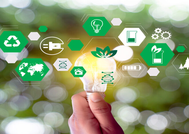 Investing in Green Startups: Opportunities and Success Stories