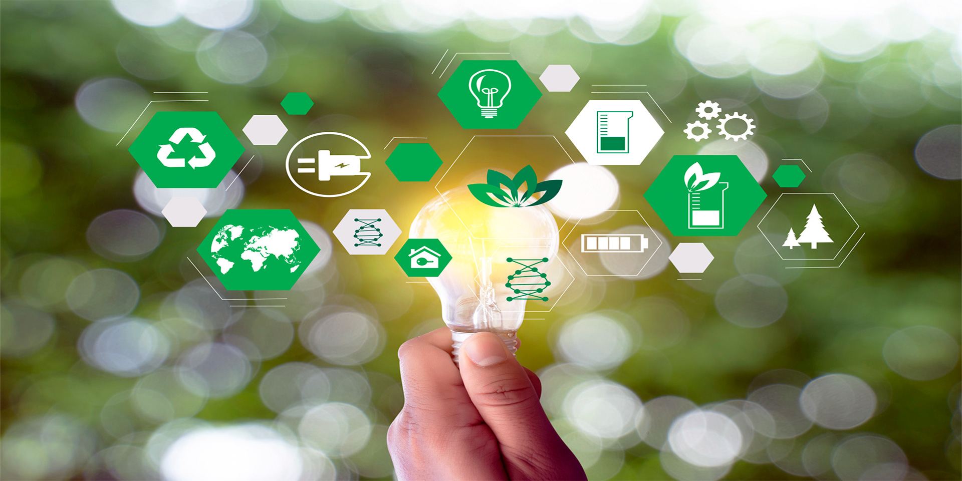 Investing in Green Startups: Opportunities and Success Stories